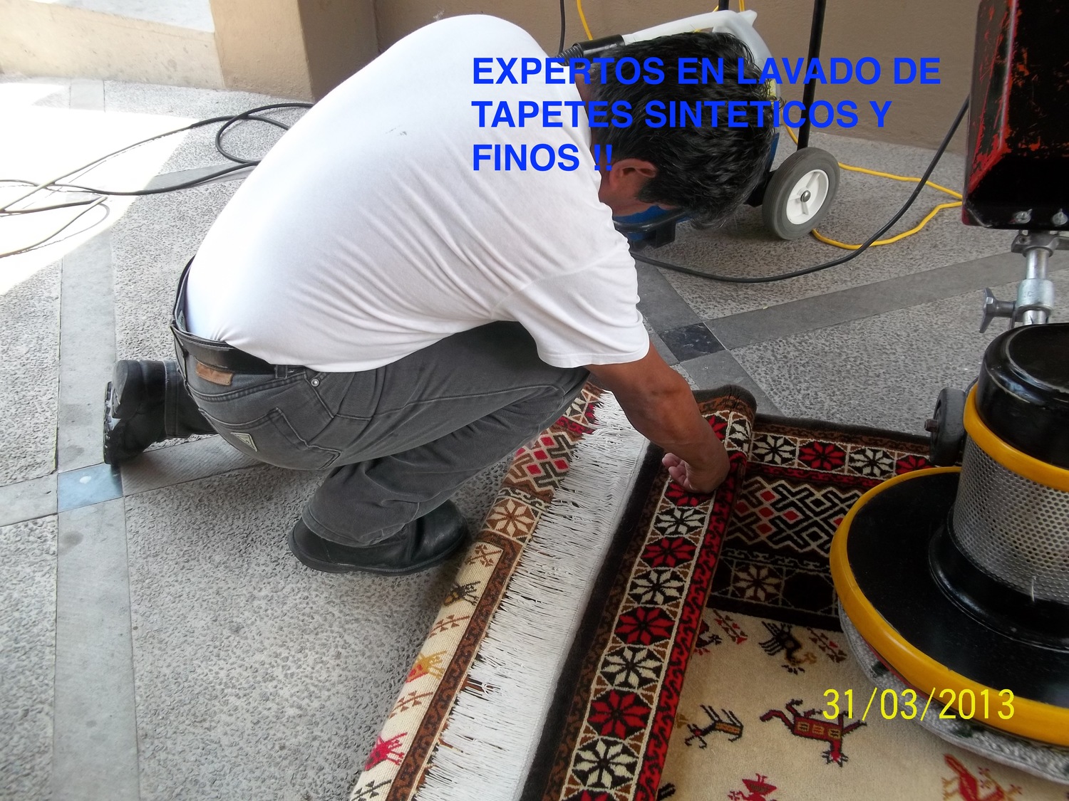 Lavado de Tapetes Persas