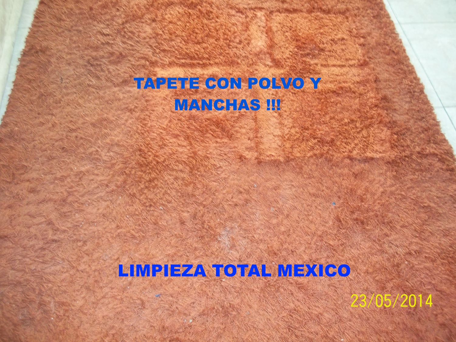 Lavado de Tapetes con manchas