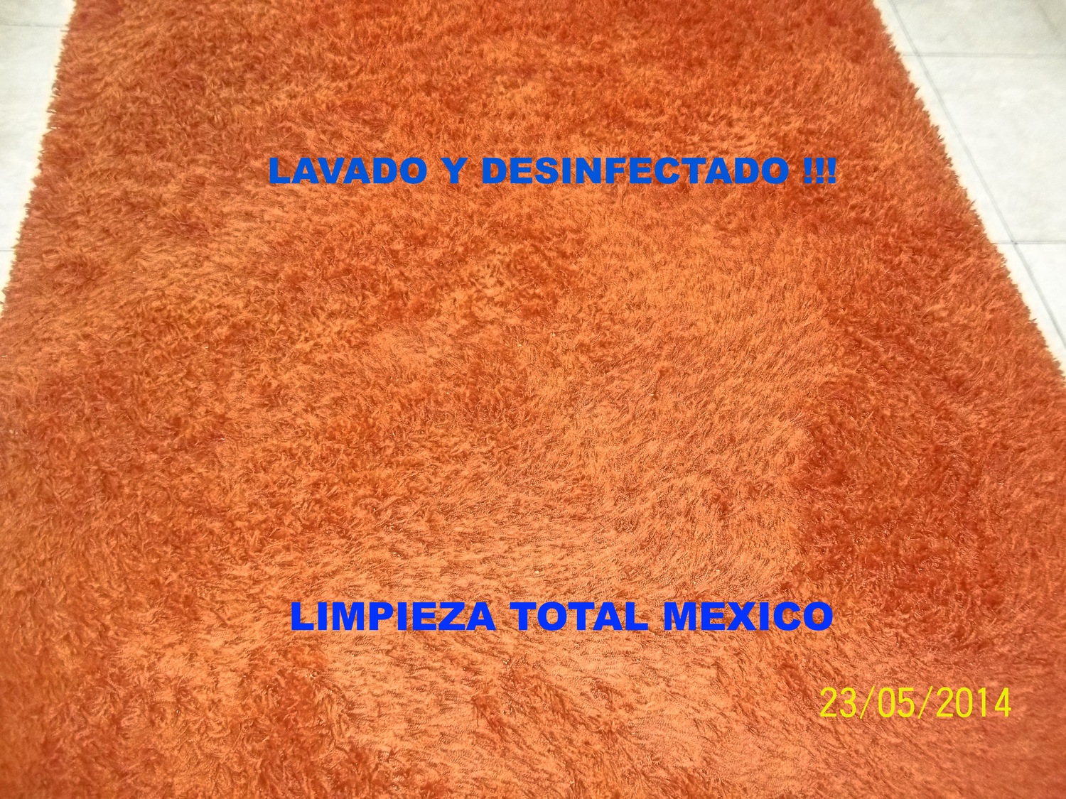 Lavado de Tapetes Desmanchado