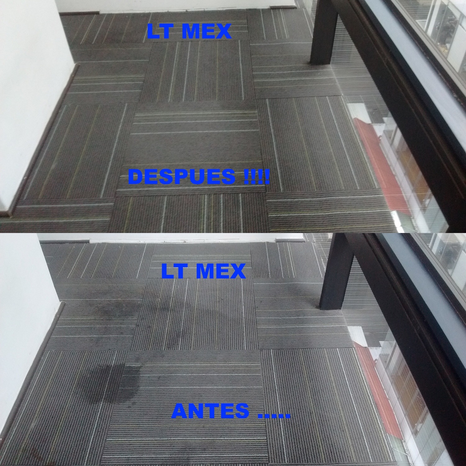 Alfombra Tipo Modular