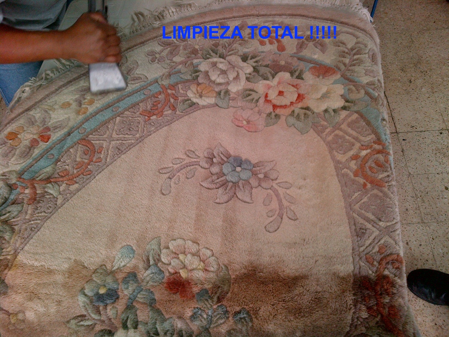 Lavado de Tapetes, Limpieza Total