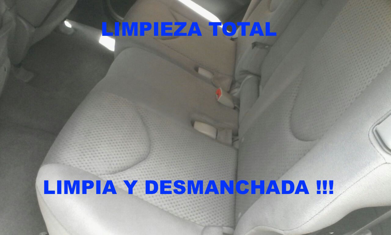 Vestidura Desmanchada