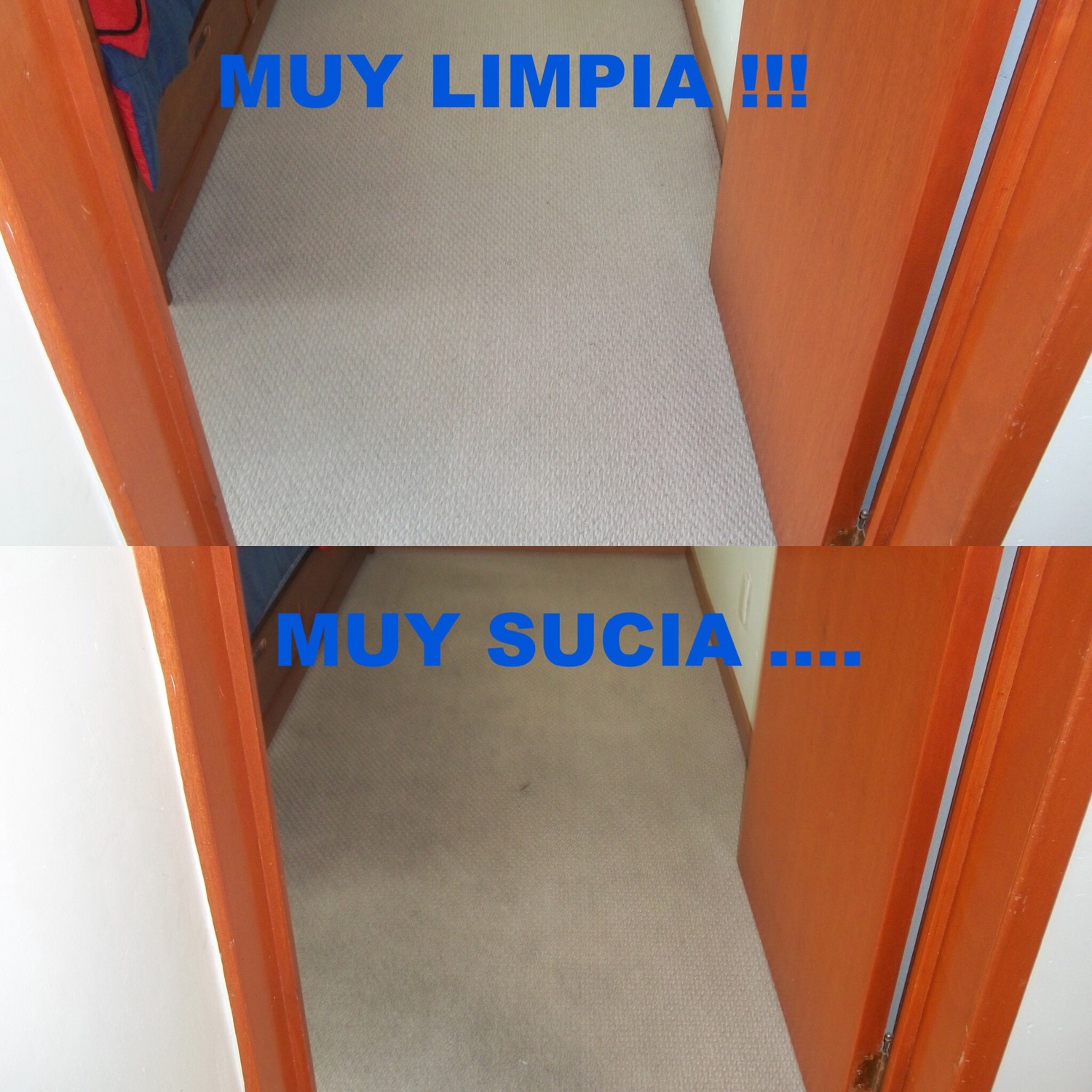 Alfombra Residencial