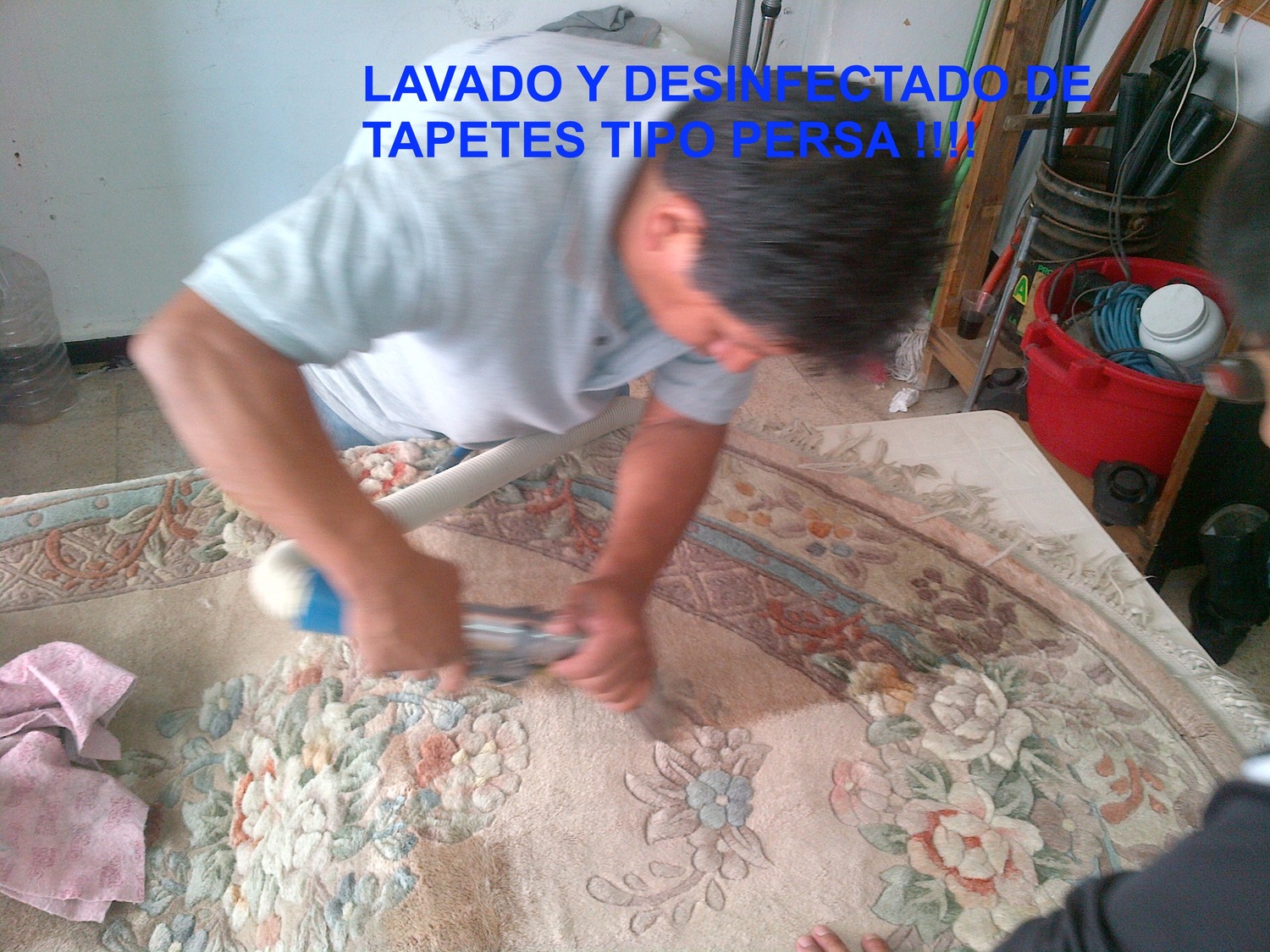 Lavado de Tapetes-Finos